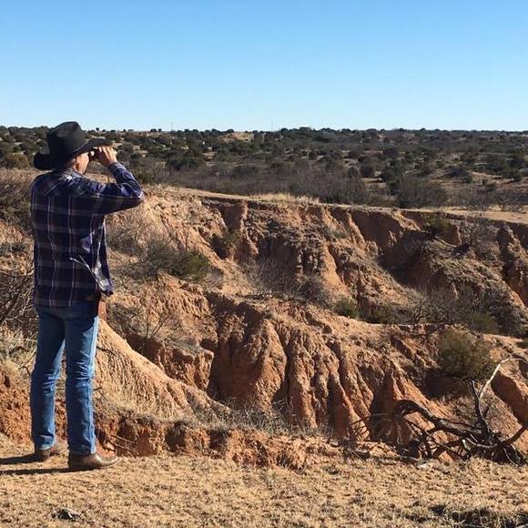 Meet your Posher, Larry - Picture 1 of 1